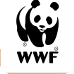 Gemeinsam Pandas schützen 🐼💚